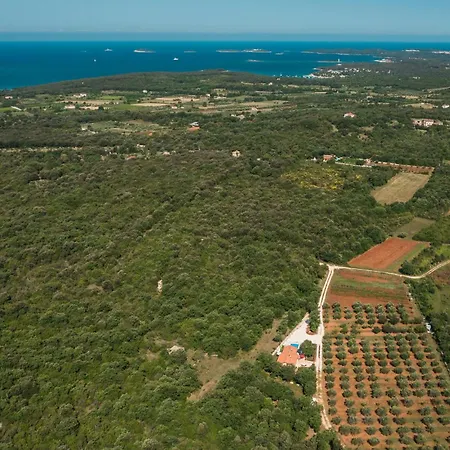 Nyaraló Gorgeous In